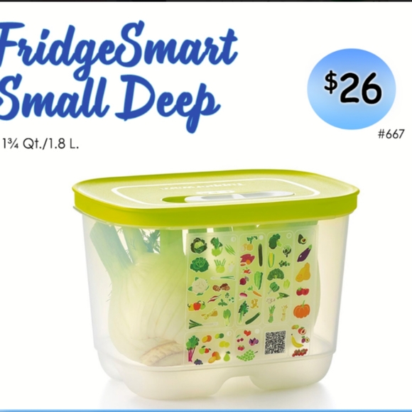 Tupperware Kitchen New Tupperware Fridge Smart Small Deep Container Poshmark
